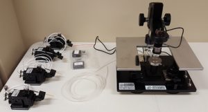 EVERBEING Model C-2 Portable Probe Station