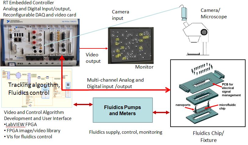 image and diagram depicting MIP Microfluidics Variant