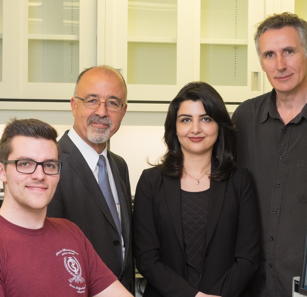 Photo of Ghazal Nabovati, PhD candidate and others