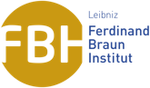 Ferdinand-Braun-Institut
