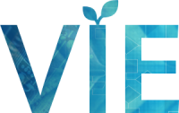 VIE logo